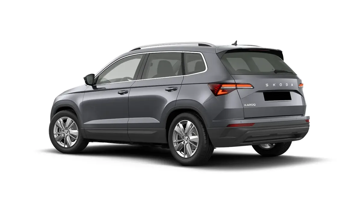 Škoda Karoq Selection 2.0 TDI DSG en renting — vista 6